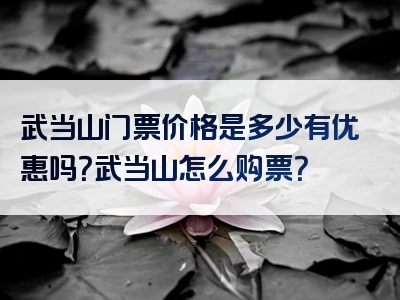 武当山门票价格是多少有优惠吗？武当山怎么购票？