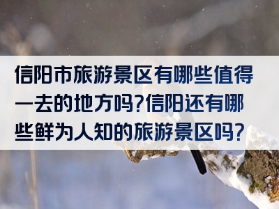 信阳市旅游景区有哪些值得一去的地方吗？信阳还有哪些鲜为人知的旅游景区吗？