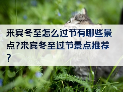 来宾冬至怎么过节有哪些景点？来宾冬至过节景点推荐？
