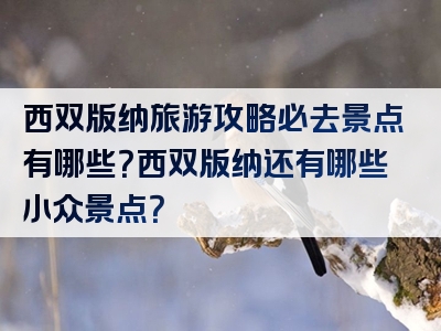 西双版纳旅游攻略必去景点有哪些？西双版纳还有哪些小众景点？