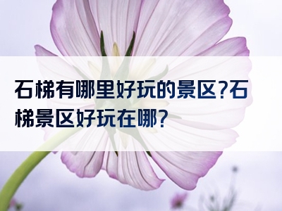 石梯有哪里好玩的景区？石梯景区好玩在哪？