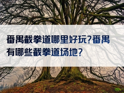 番禺截拳道哪里好玩？番禺有哪些截拳道场地？