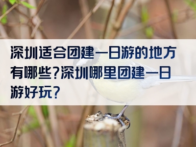 深圳适合团建一日游的地方有哪些？深圳哪里团建一日游好玩？
