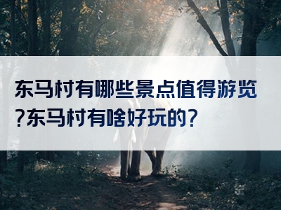 东马村有哪些景点值得游览？东马村有啥好玩的？