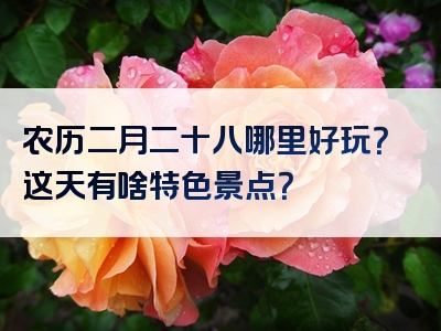 农历二月二十八哪里好玩？这天有啥特色景点？