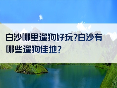 白沙哪里遛狗好玩？白沙有哪些遛狗佳地？