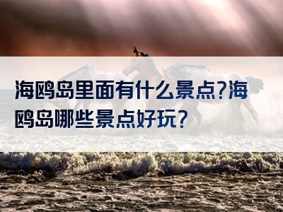 海鸥岛里面有什么景点？海鸥岛哪些景点好玩？