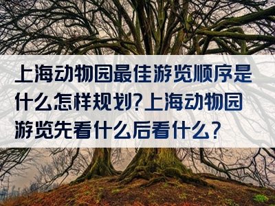 上海动物园最佳游览顺序是什么怎样规划？上海动物园游览先看什么后看什么？