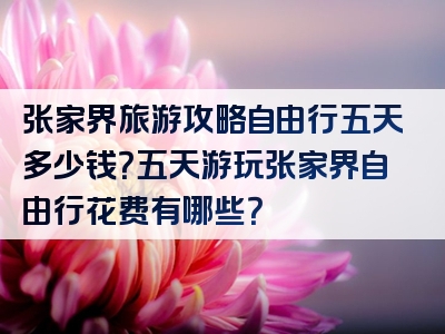 张家界旅游攻略自由行五天多少钱？五天游玩张家界自由行花费有哪些？