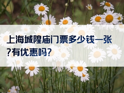 上海城隍庙门票多少钱一张？有优惠吗？