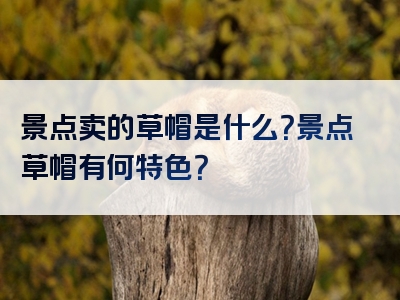 景点卖的草帽是什么？景点草帽有何特色？