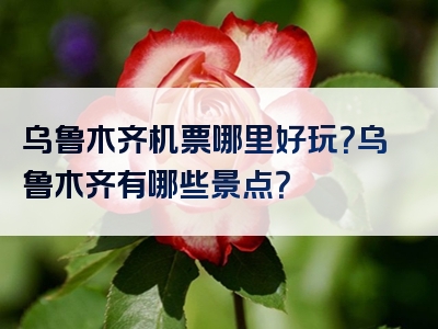 乌鲁木齐机票哪里好玩？乌鲁木齐有哪些景点？