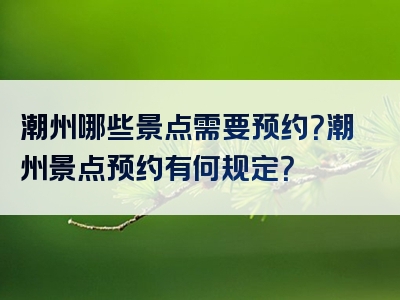潮州哪些景点需要预约？潮州景点预约有何规定？