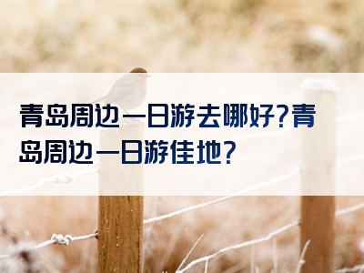 青岛周边一日游去哪好？青岛周边一日游佳地？