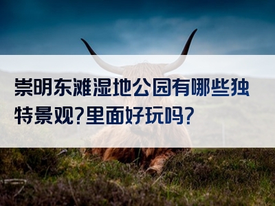 崇明东滩湿地公园有哪些独特景观？里面好玩吗？