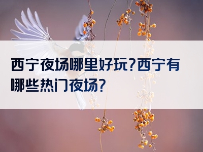 西宁夜场哪里好玩？西宁有哪些热门夜场？