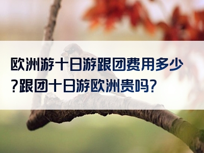 欧洲游十日游跟团费用多少？跟团十日游欧洲贵吗？