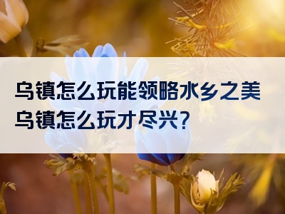 乌镇怎么玩能领略水乡之美乌镇怎么玩才尽兴？