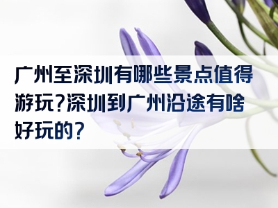 广州至深圳有哪些景点值得游玩？深圳到广州沿途有啥好玩的？