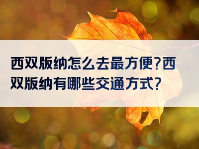 西双版纳怎么去最方便？西双版纳有哪些交通方式？