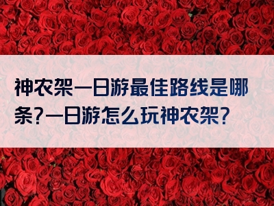 神农架一日游最佳路线是哪条？一日游怎么玩神农架？