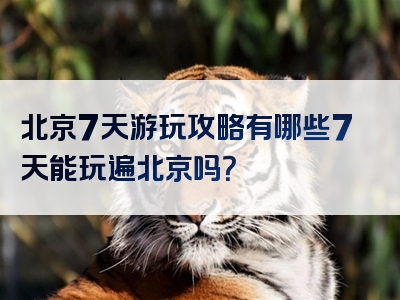 北京7天游玩攻略有哪些7天能玩遍北京吗？