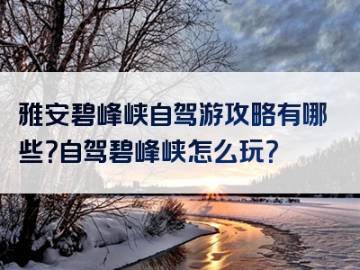 雅安碧峰峡自驾游攻略有哪些？自驾碧峰峡怎么玩？