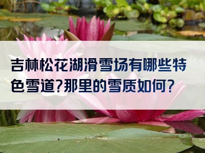 吉林松花湖滑雪场有哪些特色雪道？那里的雪质如何？