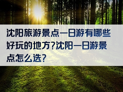 沈阳旅游景点一日游有哪些好玩的地方？沈阳一日游景点怎么选？