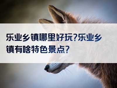 乐业乡镇哪里好玩？乐业乡镇有啥特色景点？