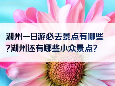 湖州一日游必去景点有哪些？湖州还有哪些小众景点？