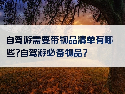自驾游需要带物品清单有哪些？自驾游必备物品？