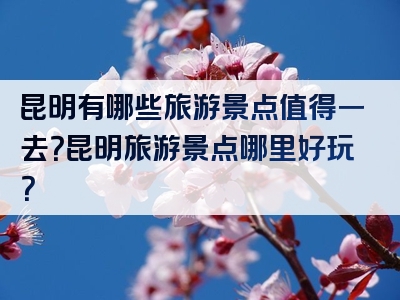 昆明有哪些旅游景点值得一去？昆明旅游景点哪里好玩？