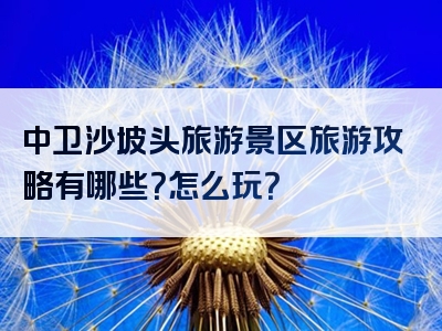 中卫沙坡头旅游景区旅游攻略有哪些？怎么玩？