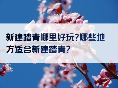 新建踏青哪里好玩？哪些地方适合新建踏青？
