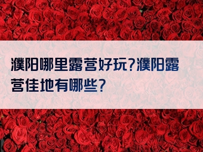 濮阳哪里露营好玩？濮阳露营佳地有哪些？