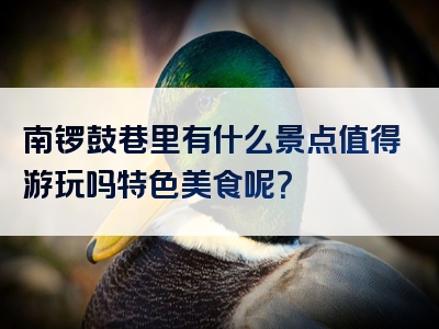 南锣鼓巷里有什么景点值得游玩吗特色美食呢？