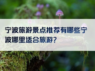 宁波旅游景点推荐有哪些宁波哪里适合旅游？