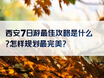 西安7日游最佳攻略是什么？怎样规划最完美？