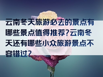 云南冬天旅游必去的景点有哪些景点值得推荐？云南冬天还有哪些小众旅游景点不容错过？