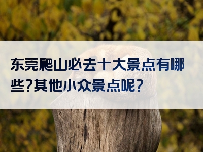 东莞爬山必去十大景点有哪些？其他小众景点呢？