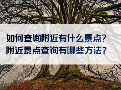 如何查询附近有什么景点？附近景点查询有哪些方法？