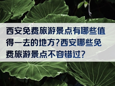 西安免费旅游景点有哪些值得一去的地方？西安哪些免费旅游景点不容错过？