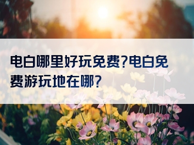 电白哪里好玩免费？电白免费游玩地在哪？