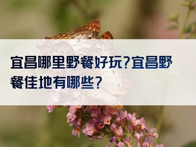 宜昌哪里野餐好玩？宜昌野餐佳地有哪些？