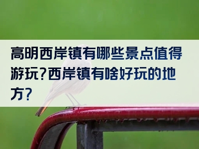 高明西岸镇有哪些景点值得游玩？西岸镇有啥好玩的地方？