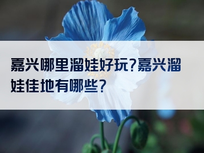 嘉兴哪里溜娃好玩？嘉兴溜娃佳地有哪些？