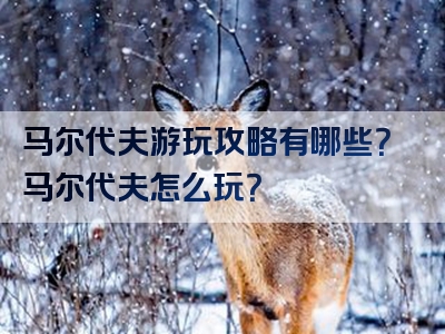 马尔代夫游玩攻略有哪些？马尔代夫怎么玩？
