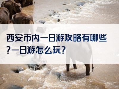 西安市内一日游攻略有哪些？一日游怎么玩？