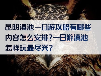 昆明滇池一日游攻略有哪些内容怎么安排？一日游滇池怎样玩最尽兴？